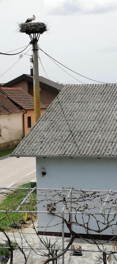 Bela Golobica Bogojina Villa Екстериор снимка