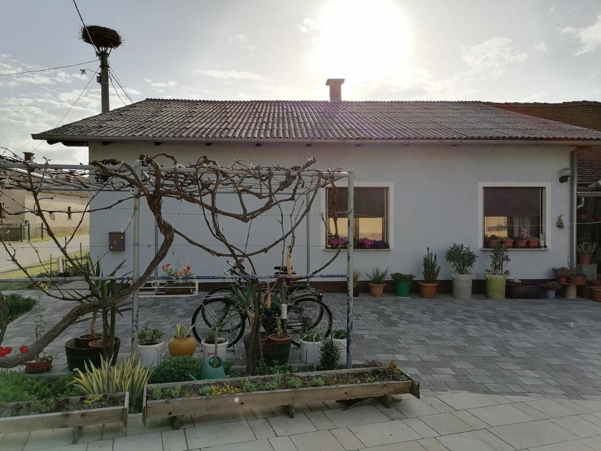 Bela Golobica Bogojina Villa Екстериор снимка